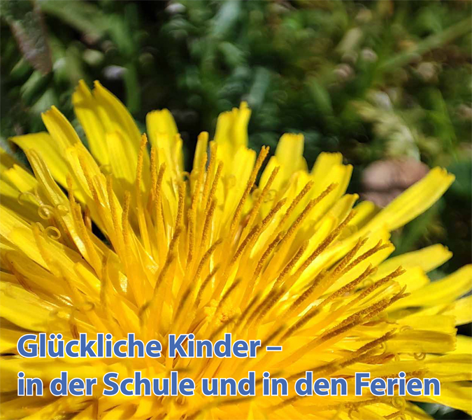 Ausgabe 2 | 2024